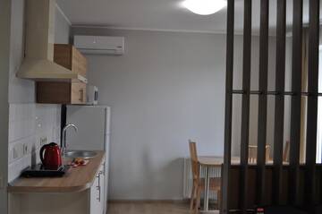 Фото номера Апартаменты-студио Апартаменты Apartments on Leva st. г. Берегово 8