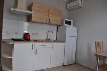 Фото номера Апартаменты в пентхаусе Апартаменты Apartments on Leva st. г. Берегово 9