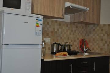Фото номера Апартаменты с видом на горы Апартаменты Apartments on Leva st. г. Берегово 4