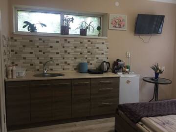 Фото номера Двухместный номер с 1 кроватью Апартаменты Private House г. Берегово 6